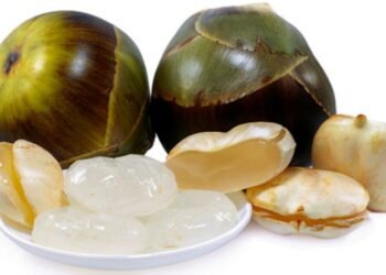 Pemanis Buatan Ini Nyatanya Miliki Banyak Manfaat