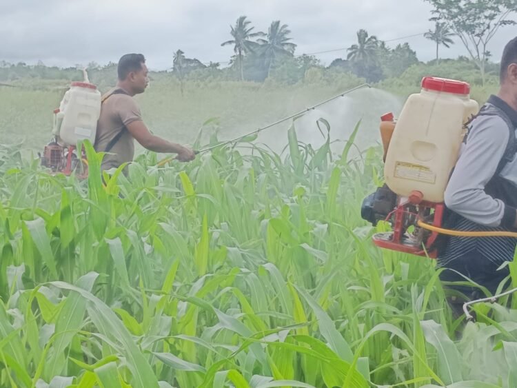 Polres Boven Digoel Gelar Ruang Edukasi Bagi Anak Putus Sekolah, Tingkatkan Literasi Dan Pola Hidup Sehat 
