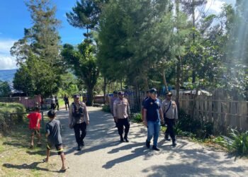 Dukung Swasembada Pangan, Polsek Muting Bersama Warga Panen Jagung Di Distrik Ulilin 