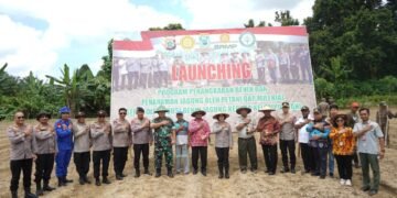 Wakapolda Papua Barat Pimpin Launching Penangkaran Benih Jagung Petani Milenial OAP