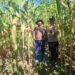 Polsek Nimbokrang Monitoring Persiapan Panen Jagung untuk Dukung Ketahanan Pangan Nasional