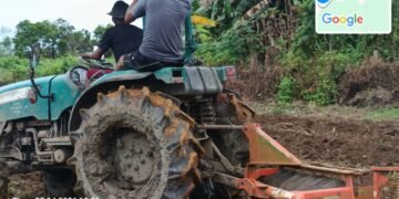 Dukung Ketahanan Pangan, Polsek Kurik Manfaatkan Lahan Produktif untuk Penanaman Jagung dan Rumput Gajah