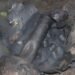 Respon Cepat Jibom Gegana Brimob Polda Papua, UXO Berbahaya di Sentani Berhasil Dinetralisir