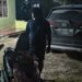 Motor Hilang Dua Tahun Akhirnya Ditemukan, Pemilik Apresiasi Kinerja Resmob Jatanras Polda Papua